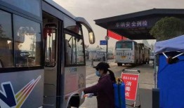 营山公交车最新爆料,最新爆料揭示线路调整与优化